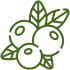 Naturbelassene Produkte – Oliven Naturbelassene Produkte - Oliven